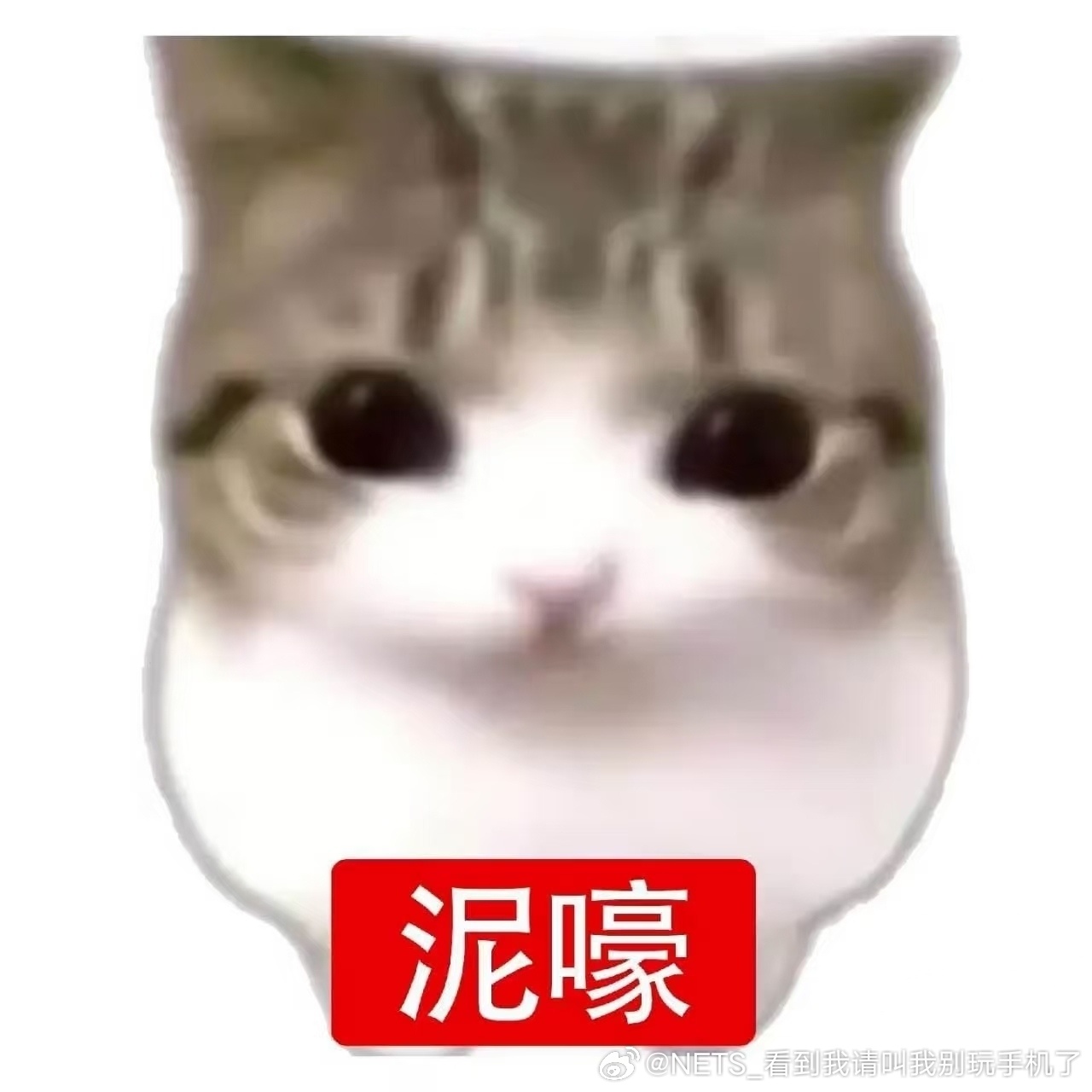 中秋+国庆假期 煮包有点玩疯了，没怎么上线，今年回去恢复更新 ​​​