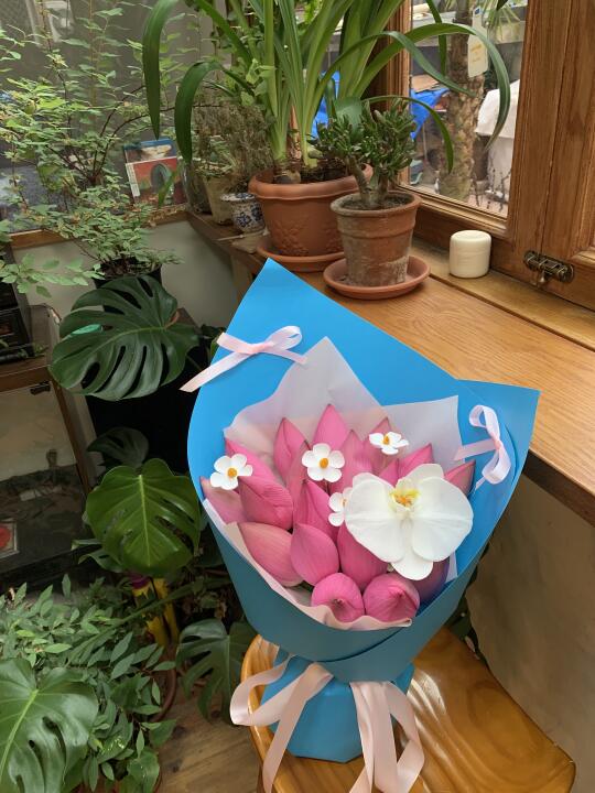 哇哦哦！😍荷花才是夏天的宠儿！🩷🩵