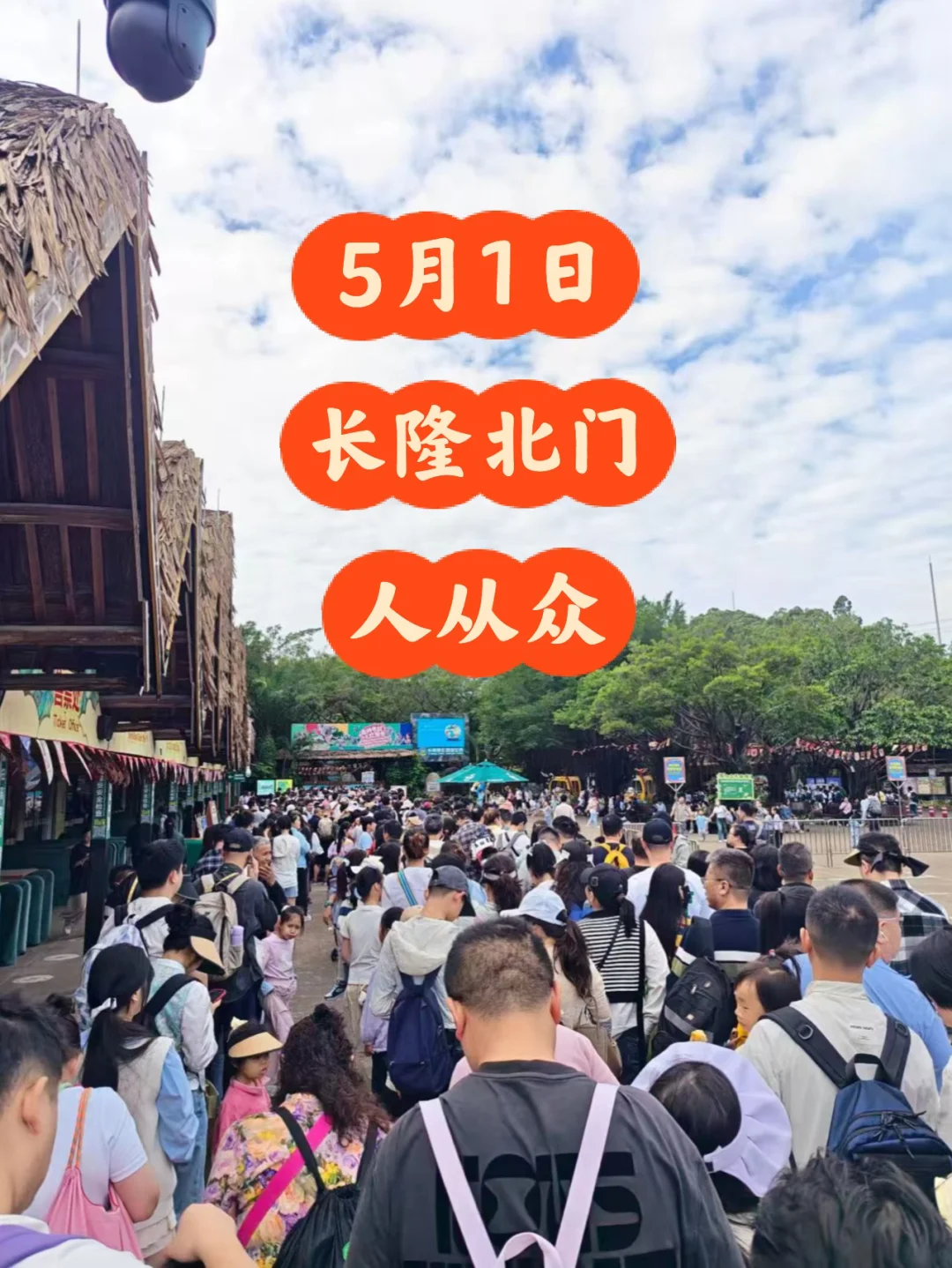 长隆野生动物世界5月1日