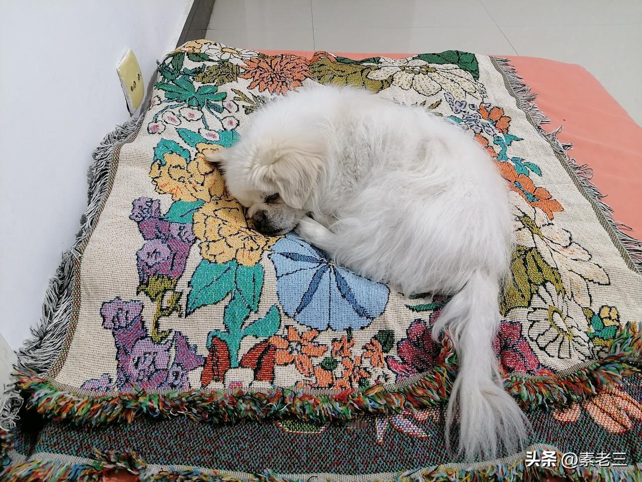 有人劝我把现在住的老破小卖掉，买个电梯楼。我不卖，也不买。一切让我花钱的想法，我