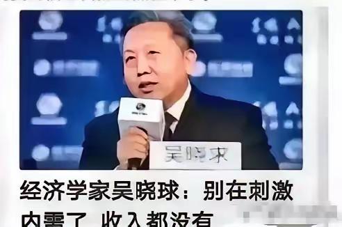 这才是真专家！”经济学家吴晓求教授直接点破：“老百姓收入都没增加，还一个劲儿喊刺