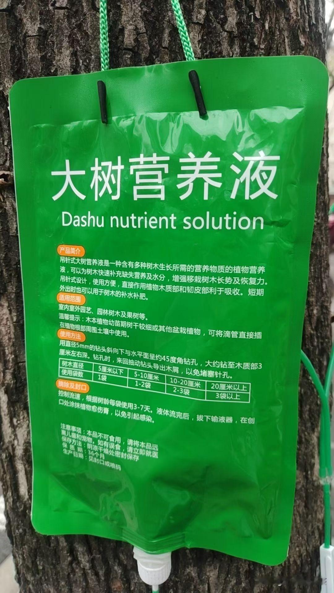 老班章的茶魂，正在被科学杀死，茶魂给了我50字心法，科学永远量化不了，你要么？