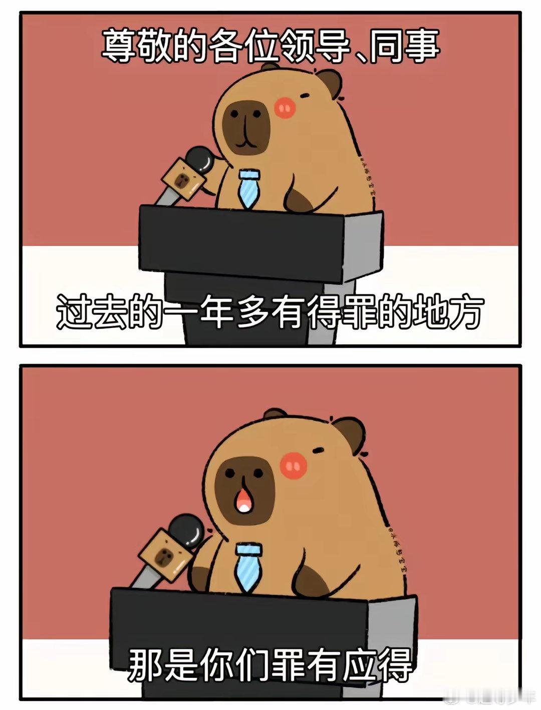 我的年终总结有了 