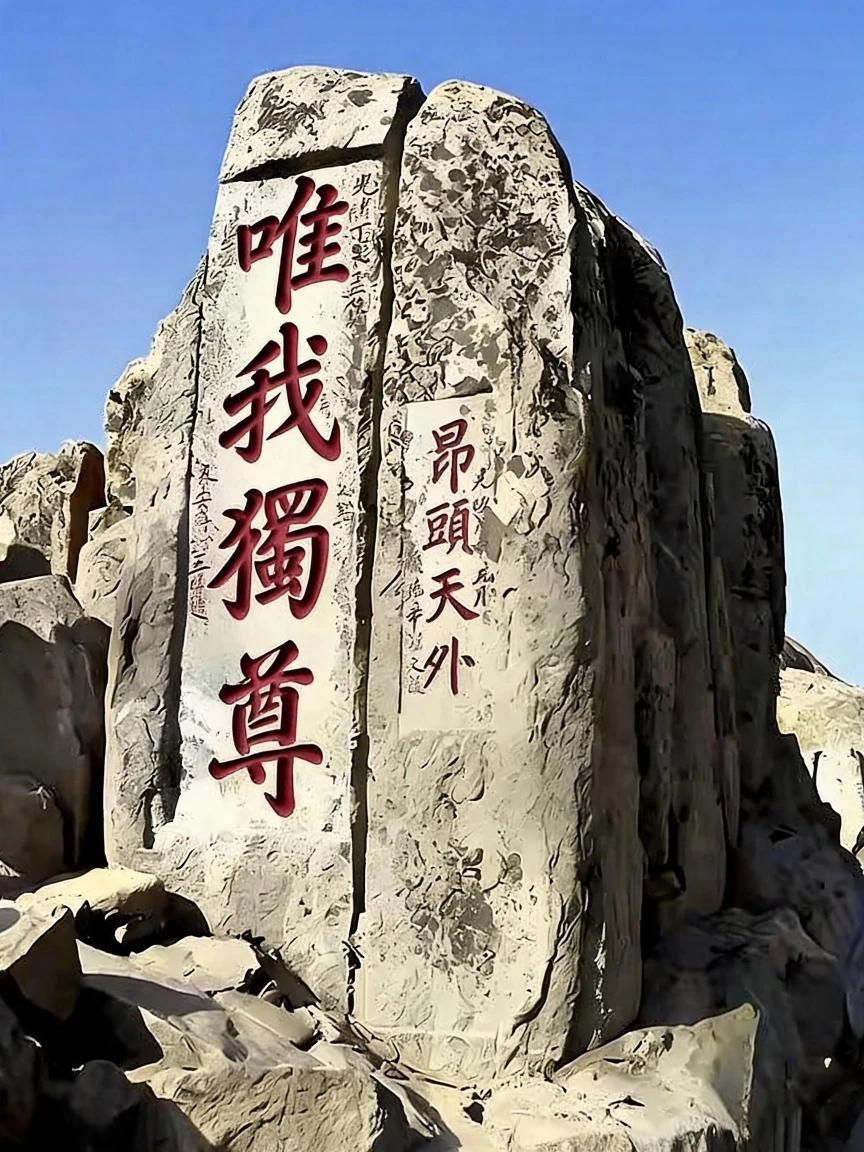 五岳独尊的泰山，就是应该得到严加防护。据说这是全国首创的防火防虫工程，泰山景区修