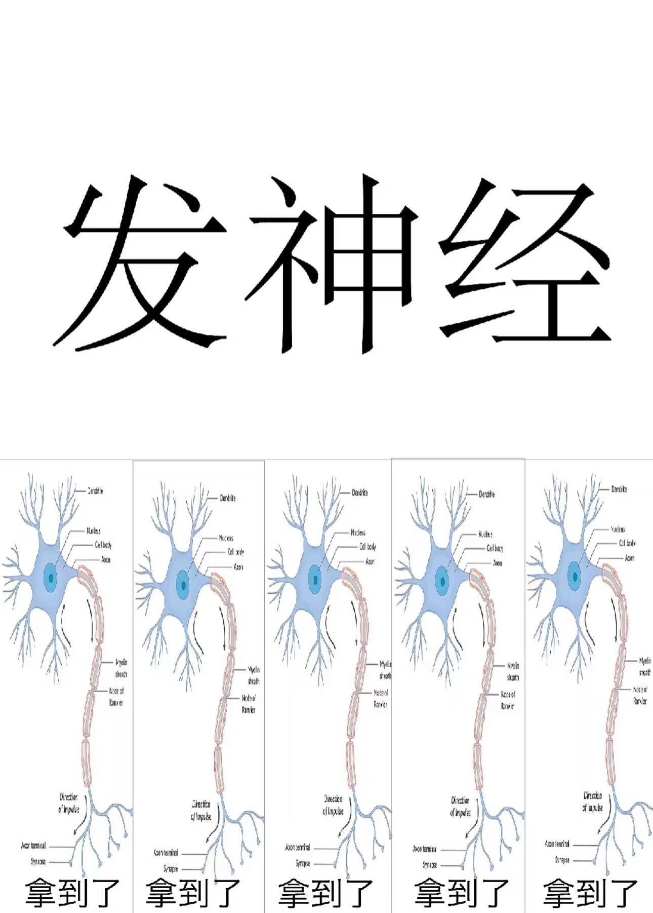 喜欢一些互动性很强的谐音梗传单[赞]春日放个疯 ​​​