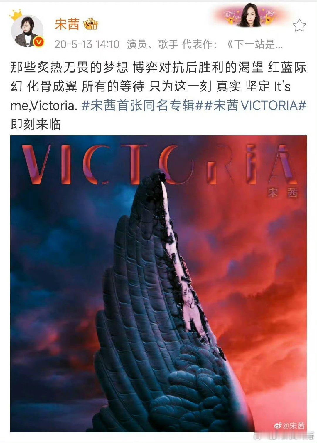宋茜闷声干大事以为她最近在晒茶席摸鱼，结果悄悄把公益图书室又落地了，宋茜的“不声