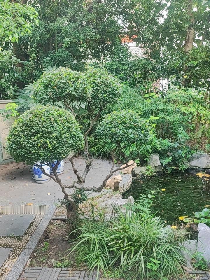 人老了就会往后看，试着写小说，亦真亦假，取名云间往事，就从我的爷爷说起吧。

我