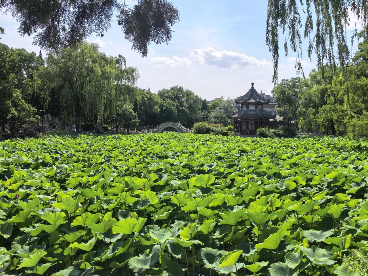 觉得菲外长特奥德罗是菲律宾的内奸呢？

第一，他的不当言论将引发一系列严重后果。