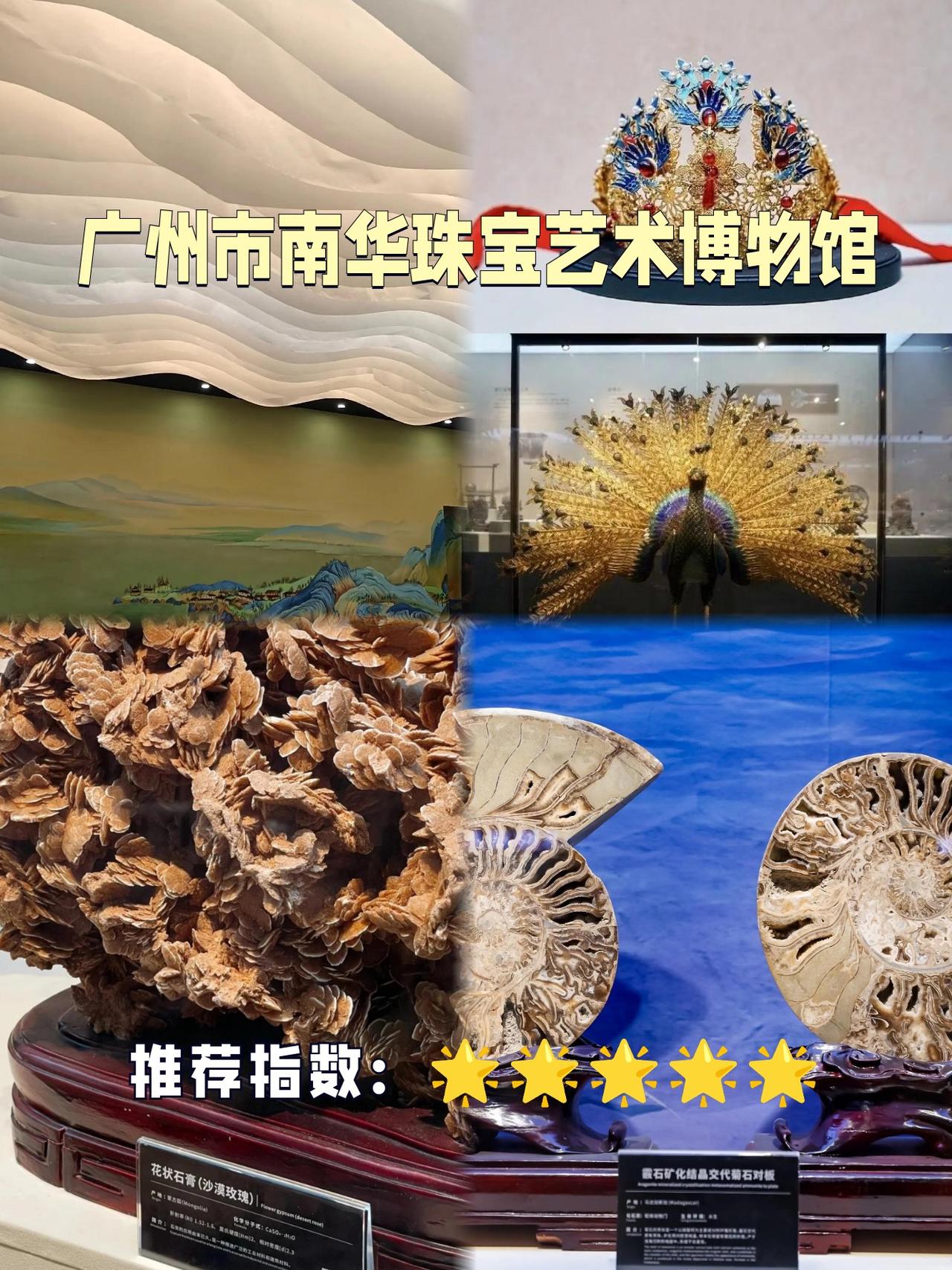 南华珠宝艺术博物馆｜城市里的珠宝艺术殿堂

✨偶然发现的宝藏博物馆！在市中心竟然