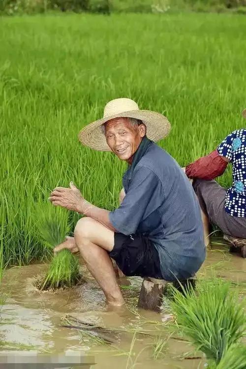 这才是真的滴水之恩，当涌泉相报！
西安一农贸市场员工花3千元买了一位农民伯伯3万