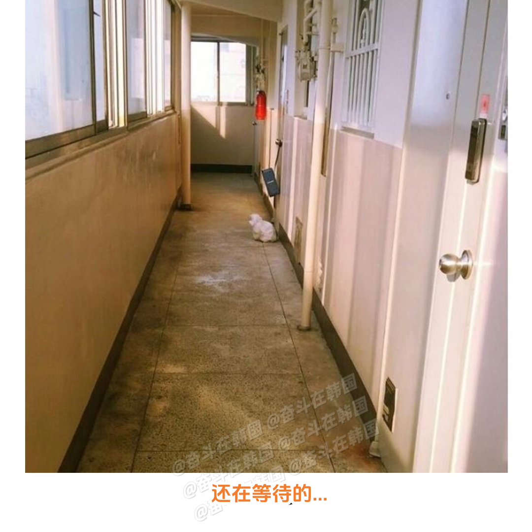 我们眼神不好的就这样  海外新鲜事 热点现场