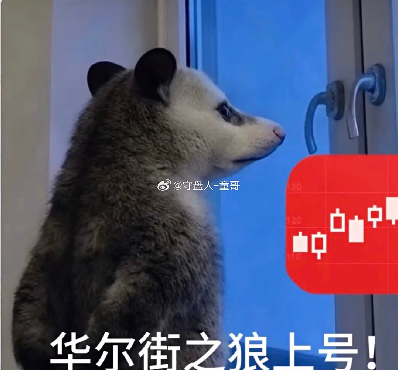 神机妙算，指点迷津！天下事无一不晓！承蒙各位粉丝支持走到了今天，童哥无以为报，续