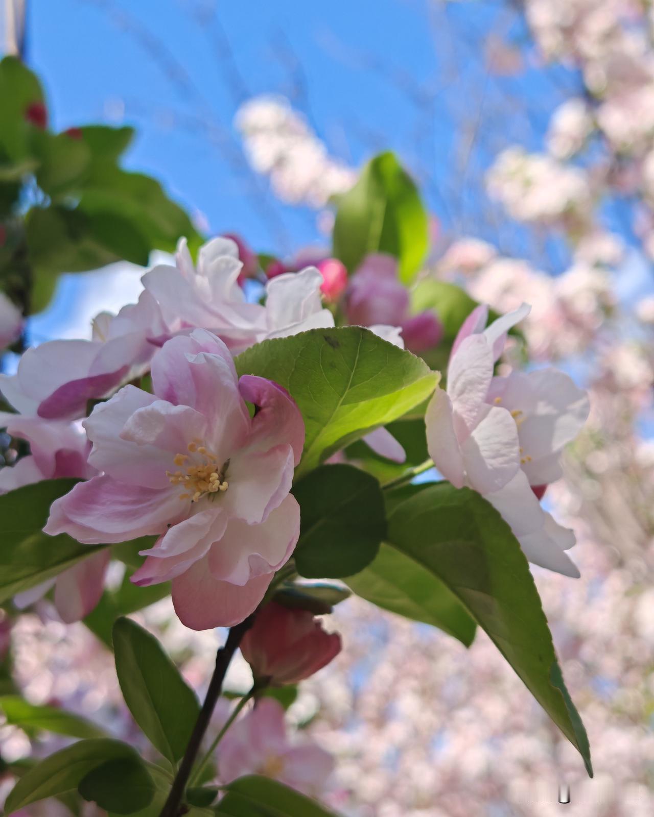 别不信一语成谶十有八九是真的会发生

我们村里有几个家庭妇女结伴去挖野菜，看见前