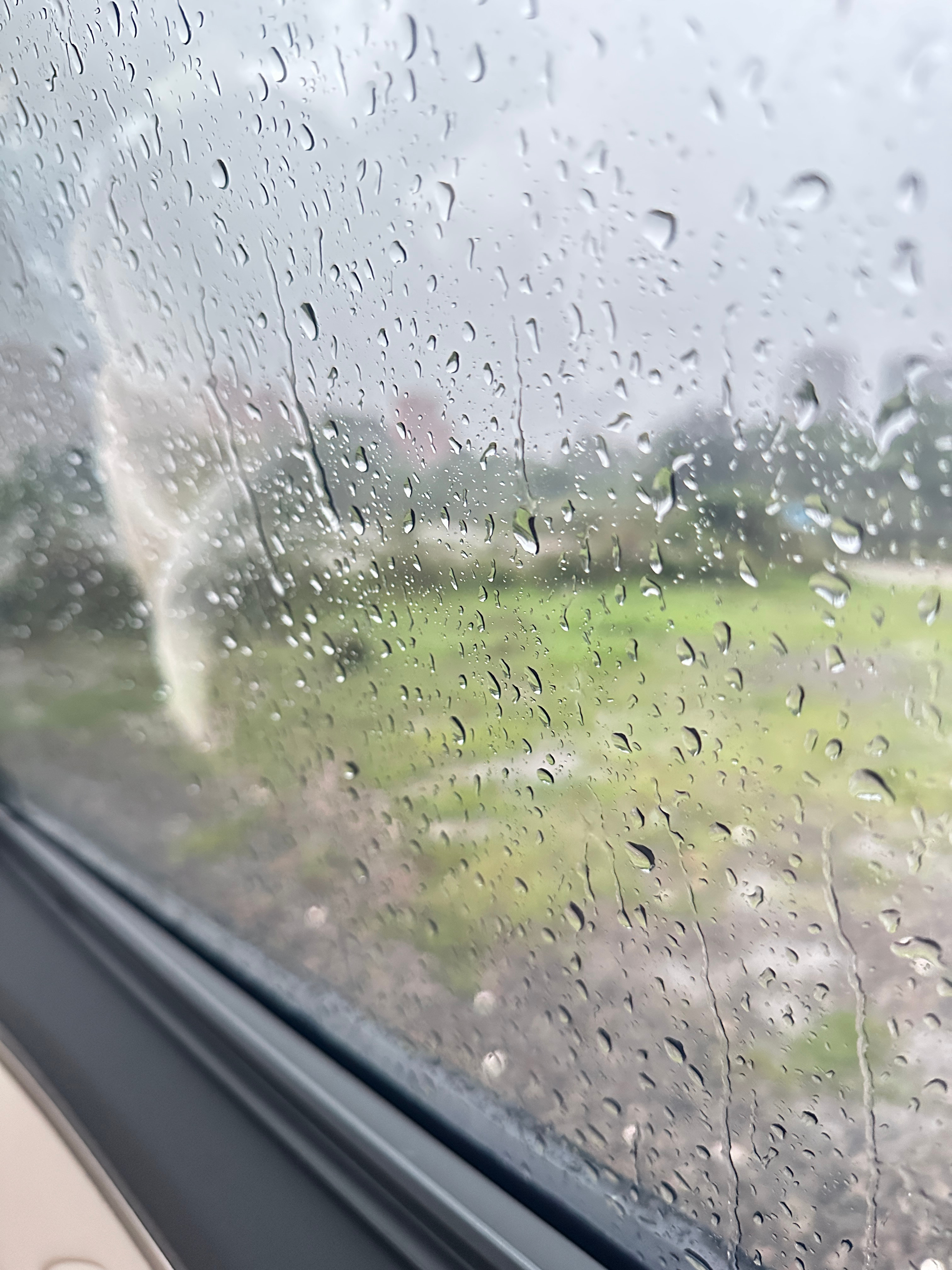 又下大雨了吃完中饭，找个营地，在车内看电影，简直不要太治愈～我就怕雨太大，营地淹