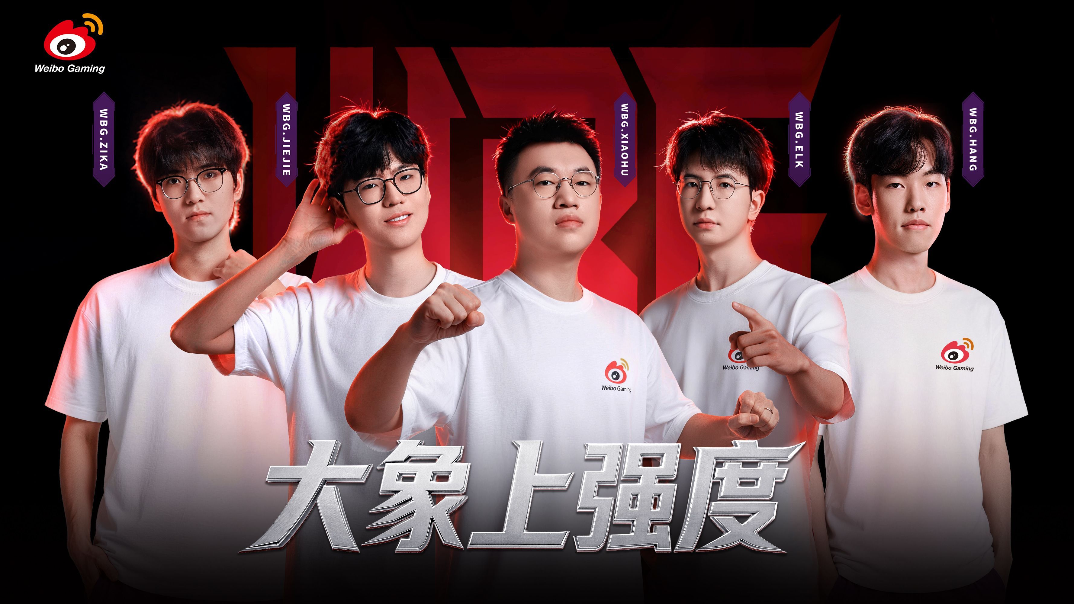 WBG大象正式连接这波联动有点东西啊！安全稳定、硬核靠谱，WBG这回搭档选得准。