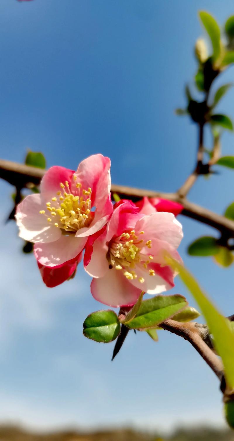 前半生，我们都在不断为人生做加法。总觉得拥有的越多，幸福就会越稳固，别人有的东西