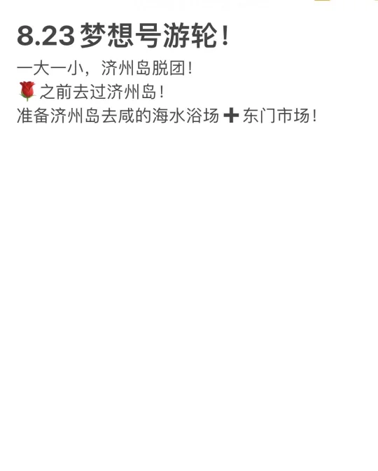 天津梦想号游轮8.23有一起的吗！