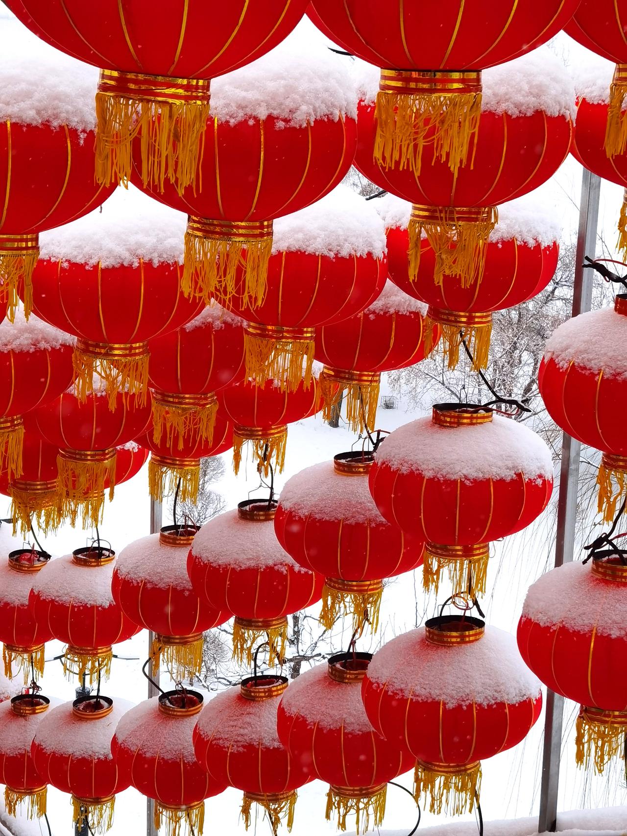 惊蛰这天下雪了，而且下得挺大，感觉比整个冬天下得都多。

为此， 孩子们开学又推