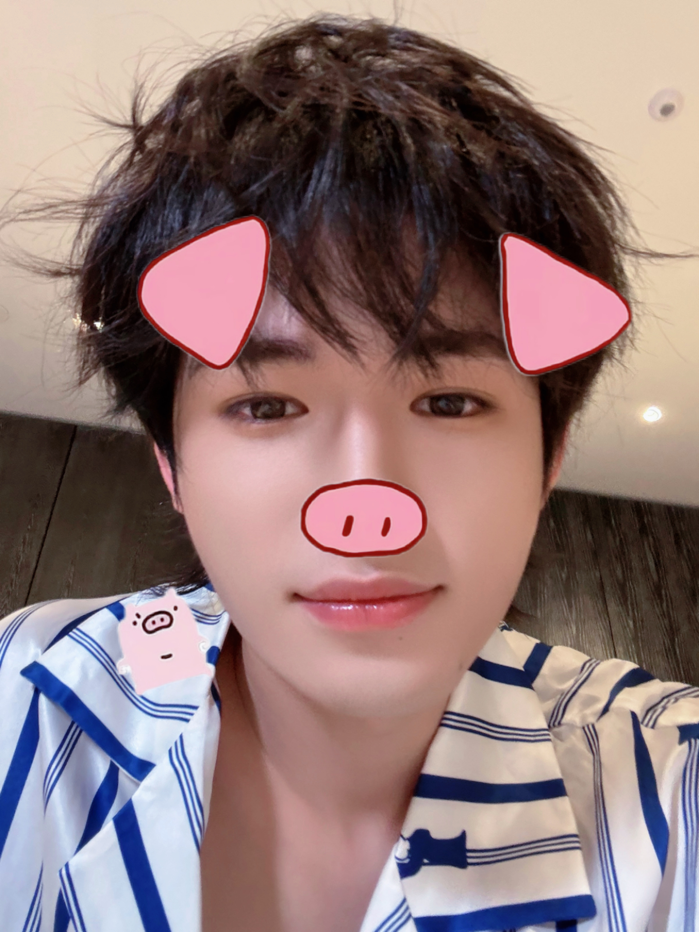 喂喂 可以爱猪吗🐽 