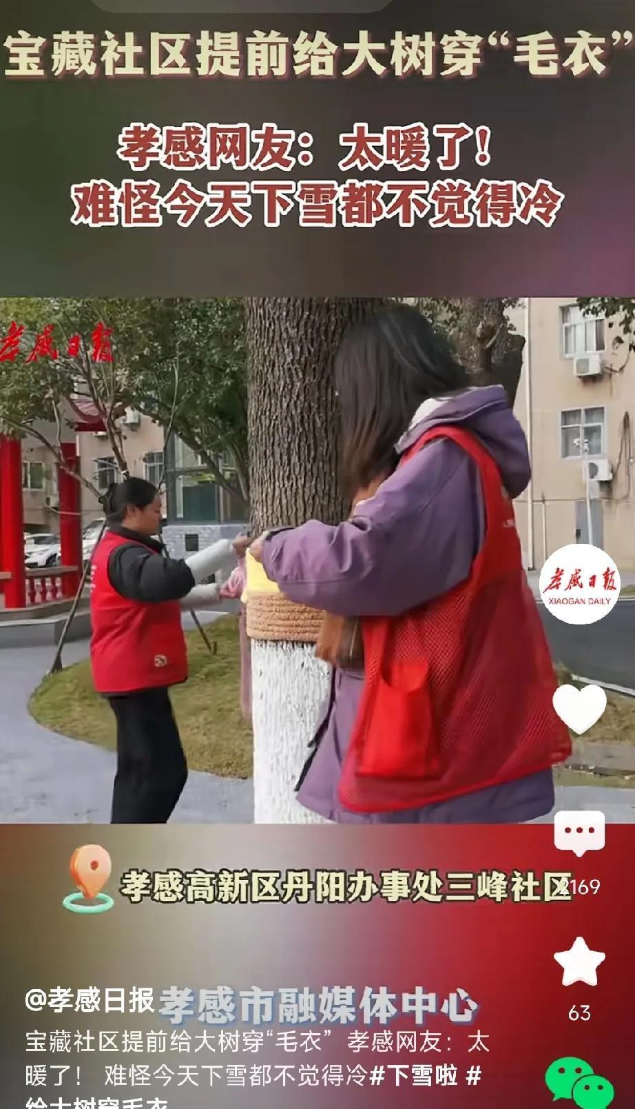 我给大树织毛衣，这股风不知道从哪儿刮起的，也不知道在哪个地方会结束。有了这个开头