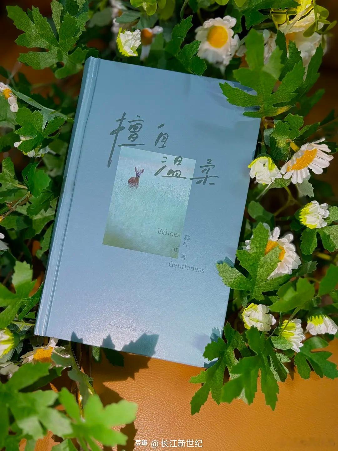 知書club 新书介绍丨《擅自温柔》是作家郭红继《长岛小记》之后出版的又一部生活