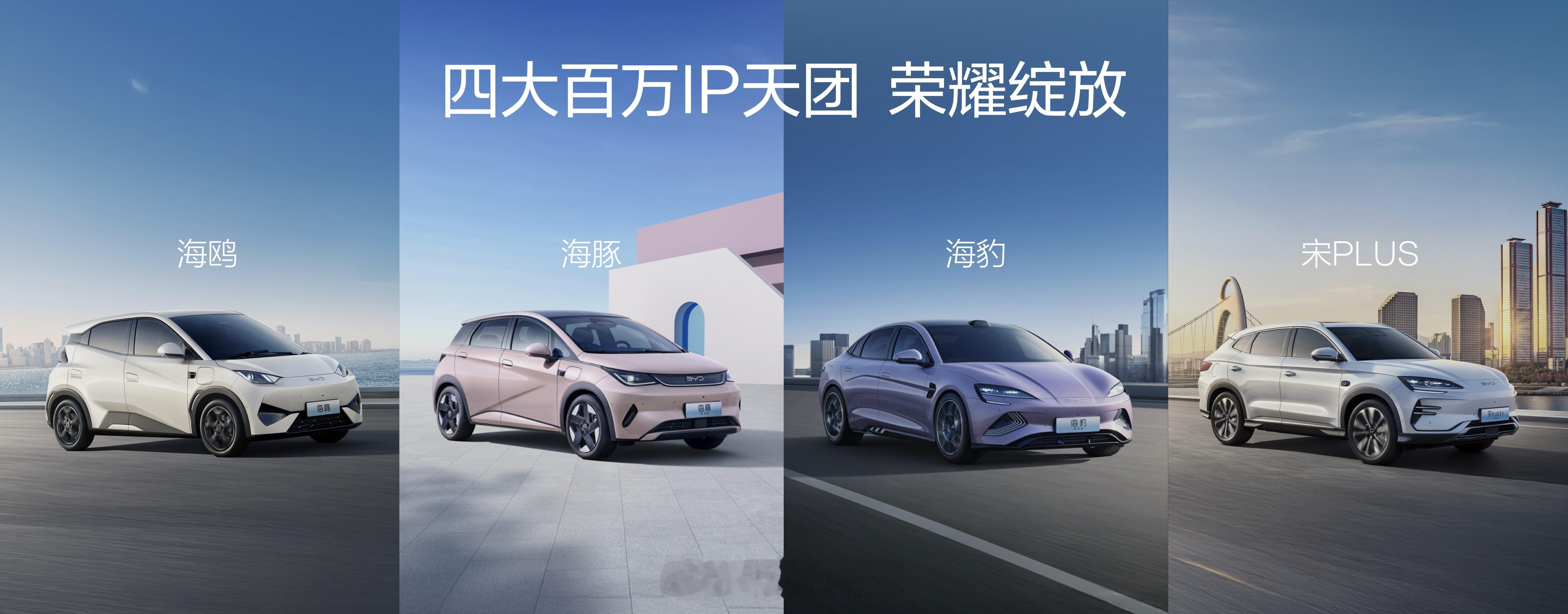 比亚迪海洋网这四年，真的出了不少好车。宋PLUS、海鸥、海豚、海豹，每一款拿出来