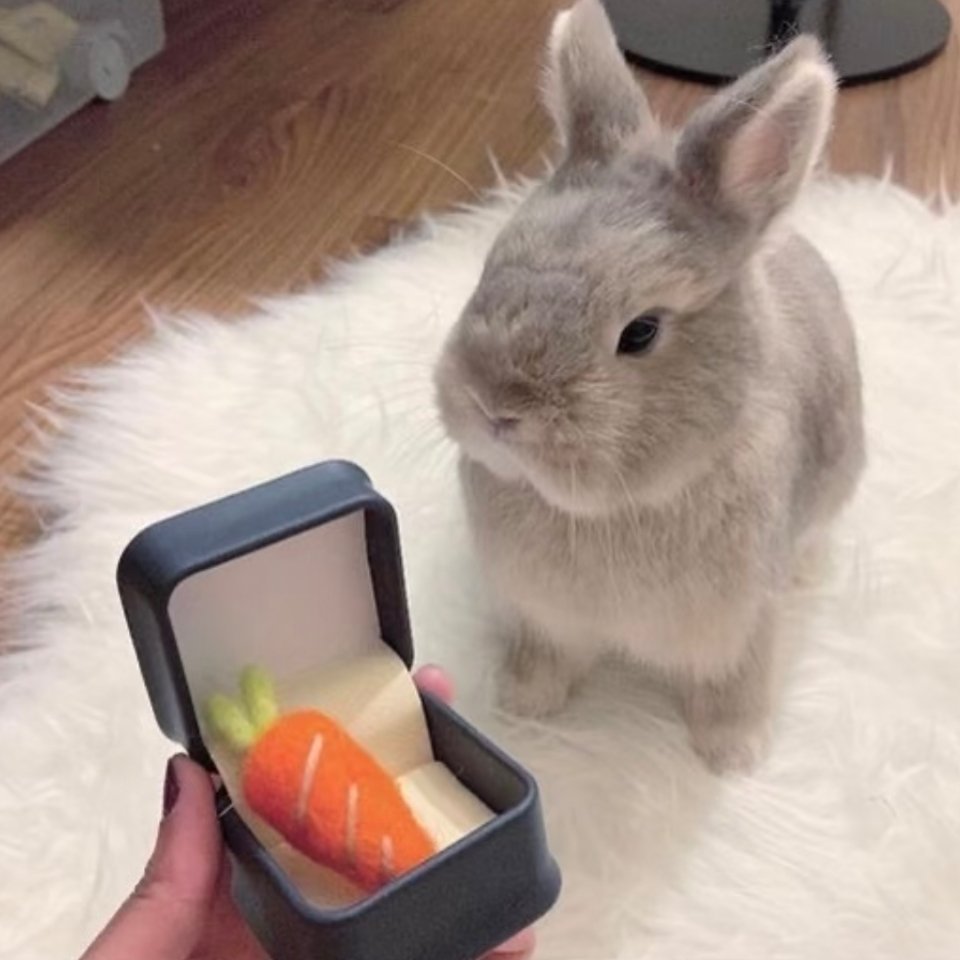 李沛恩先生青年演员李沛恩每次听到这两个称呼都有不一样的感觉 