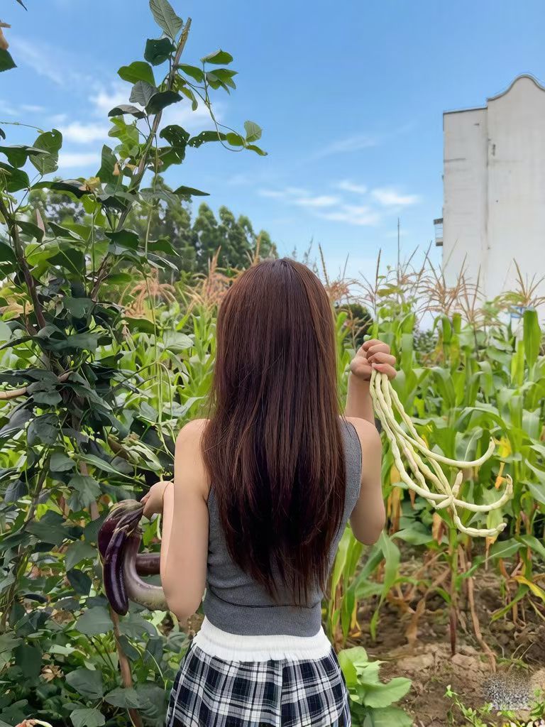 端午节提运方式：晒晒太阳，晒晒后背，好好说话，保持和和气气。 