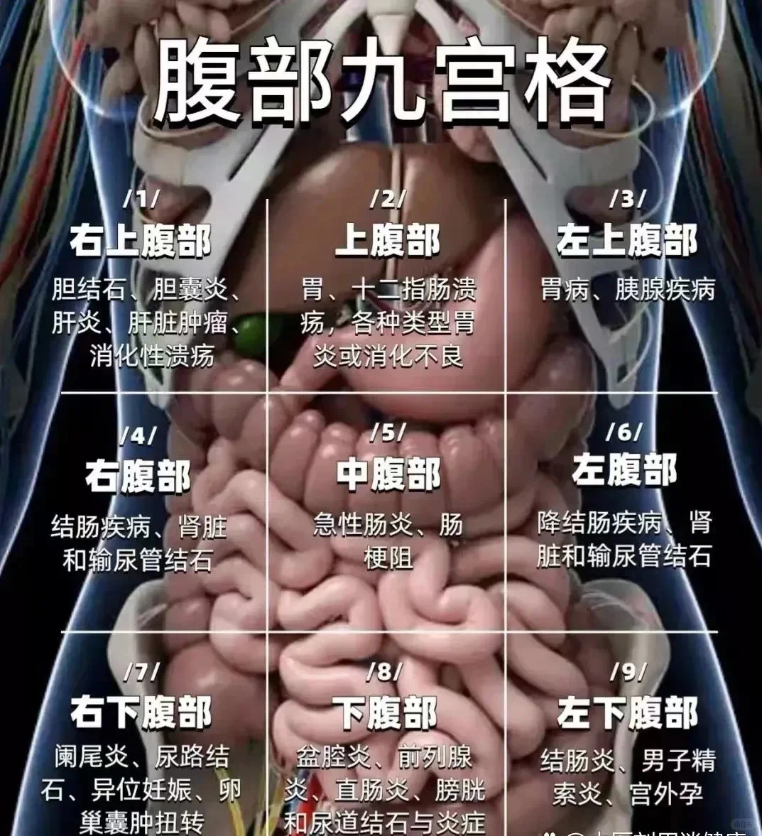 腹部疾病总结九宫格
