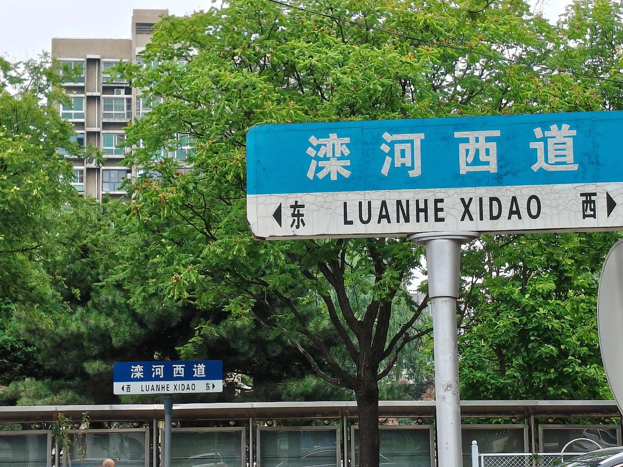 街道路牌 人文 悟道东西辨别