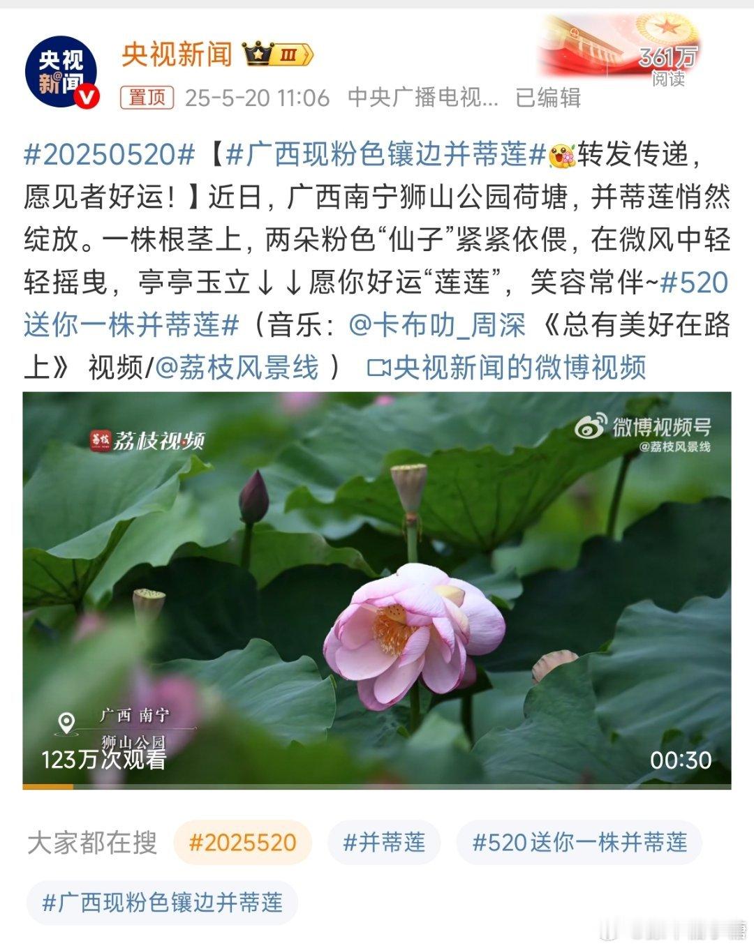 20250520祝大家好运连连呀[笑而不语][鲜花][鲜花] ​​​