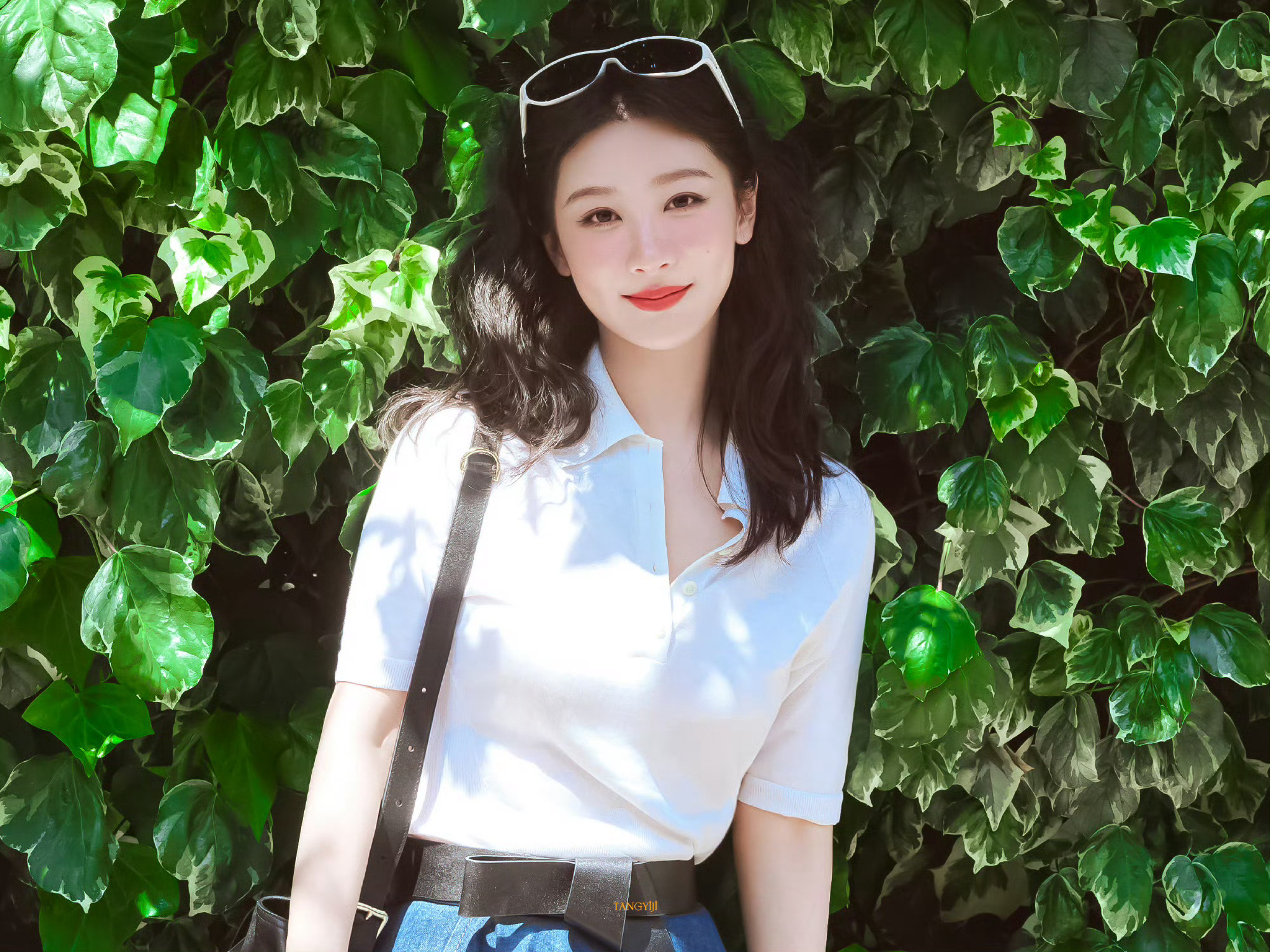 杨紫  yz杨紫董竹君 yz杨紫玉兰花开君再来 Plog | 镜头里装满了温柔的