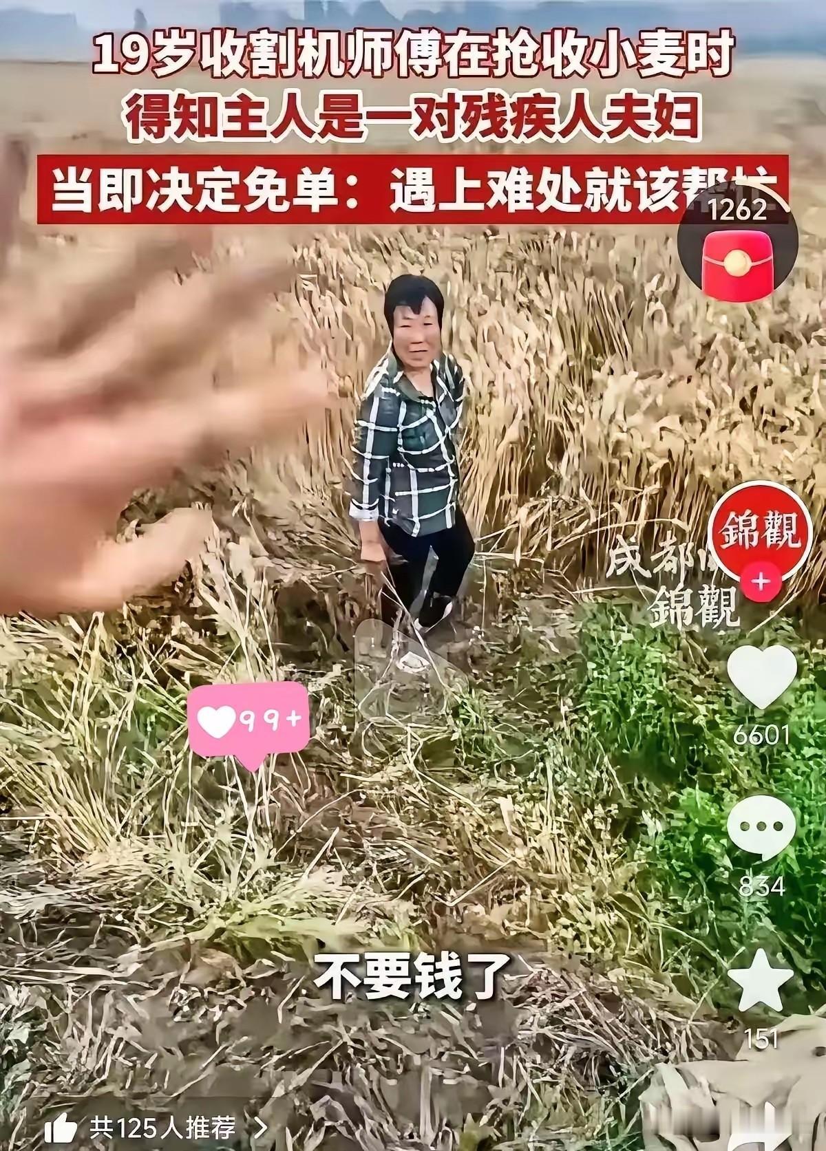 河南南阳，一位来自山东的18岁农机手在作业时，发现麦地女主人全程一言不发，同村大
