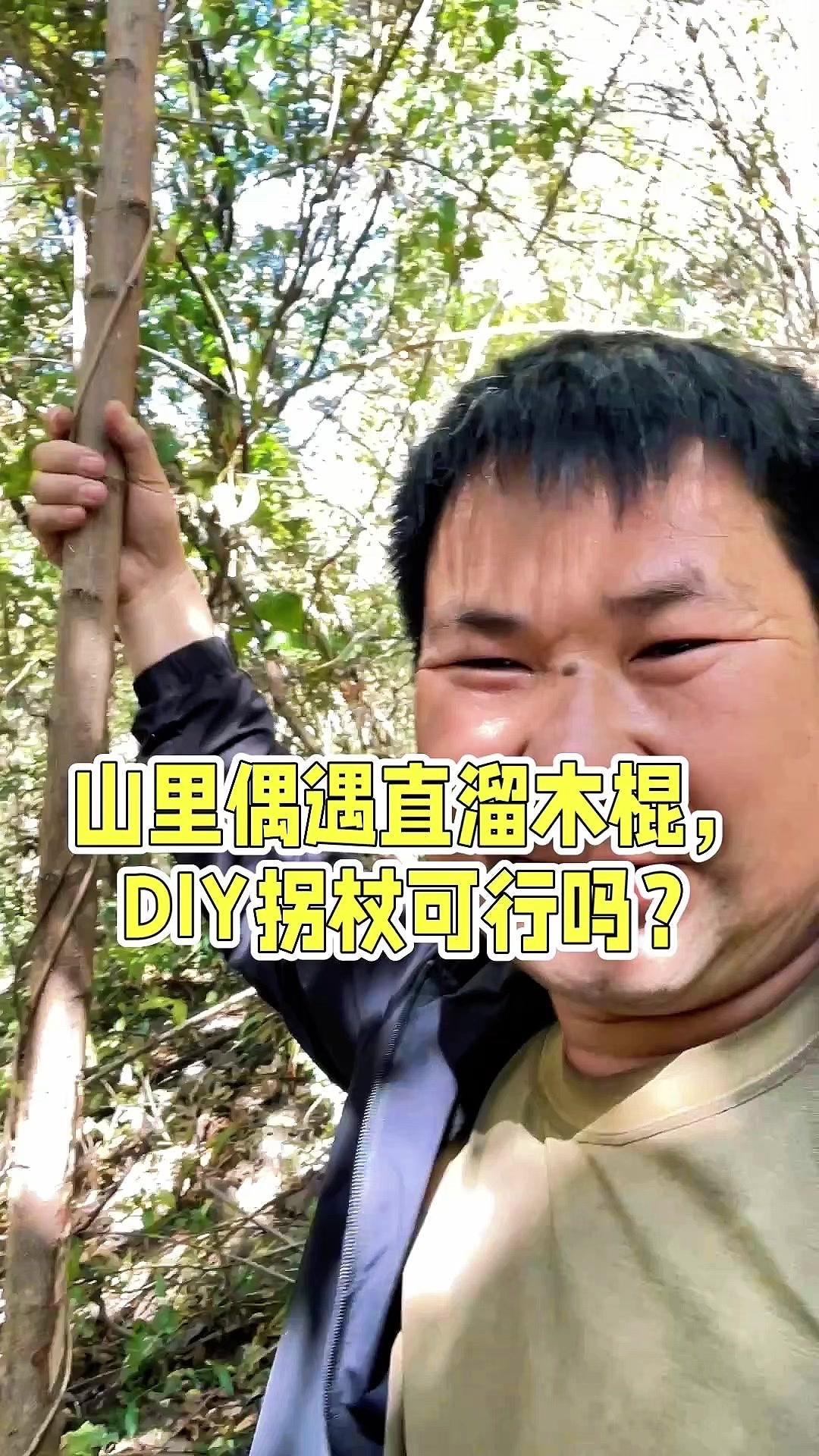 山里直溜木棍能做拐杖吗？今天在山里发现根棍，从这头到那头特别直溜，看着就很结实。