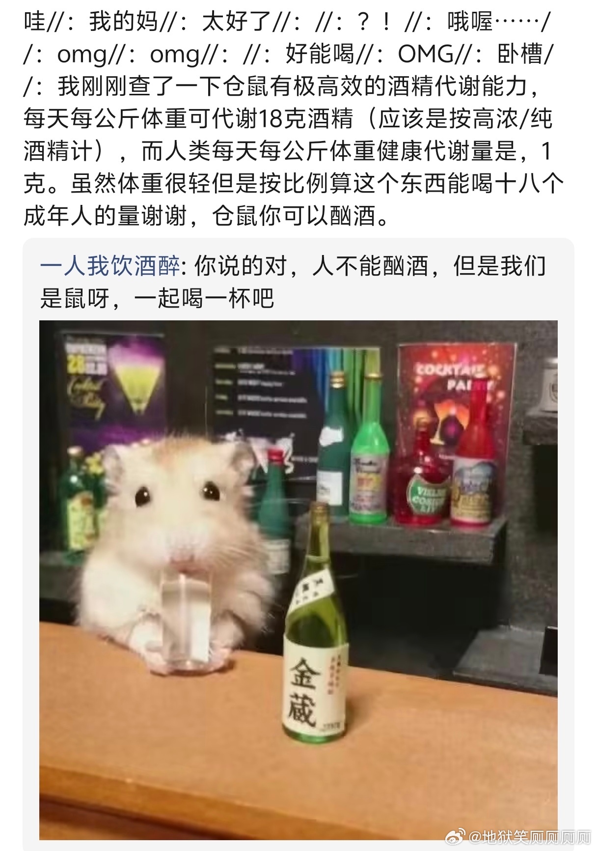 1419OMG好能喝的仓鼠 