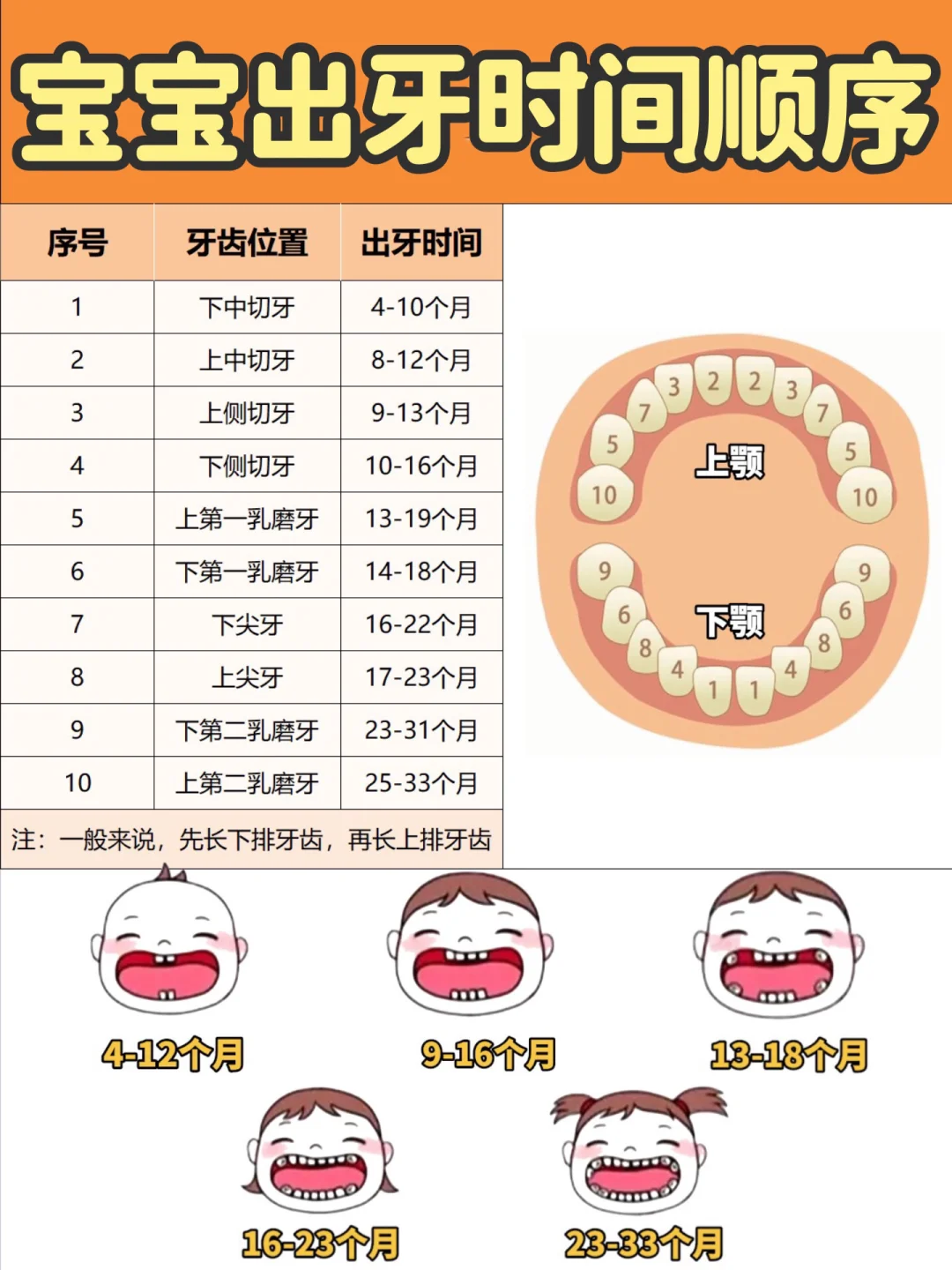 干货🔥宝宝出牙顺序和症状丨附9个护理方法