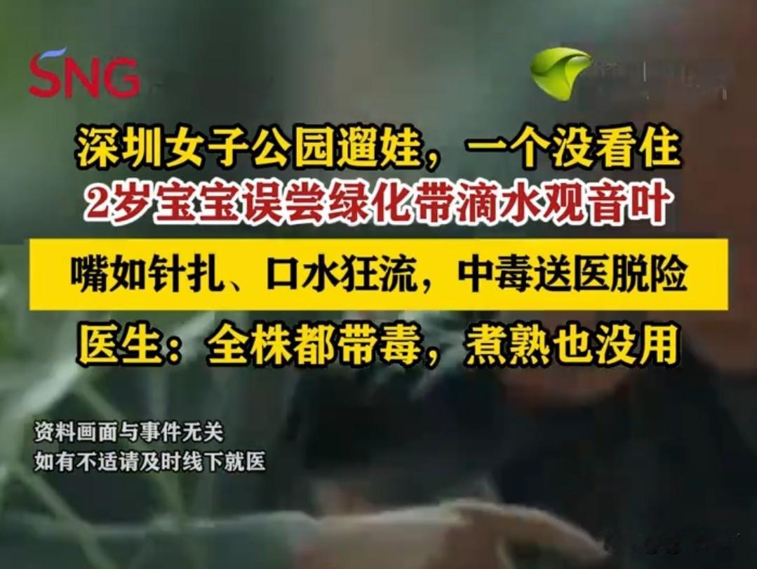 男童误食滴水观音叶片中毒 家长务必认清有毒植物
 近日，一名两岁男童在公园游玩时