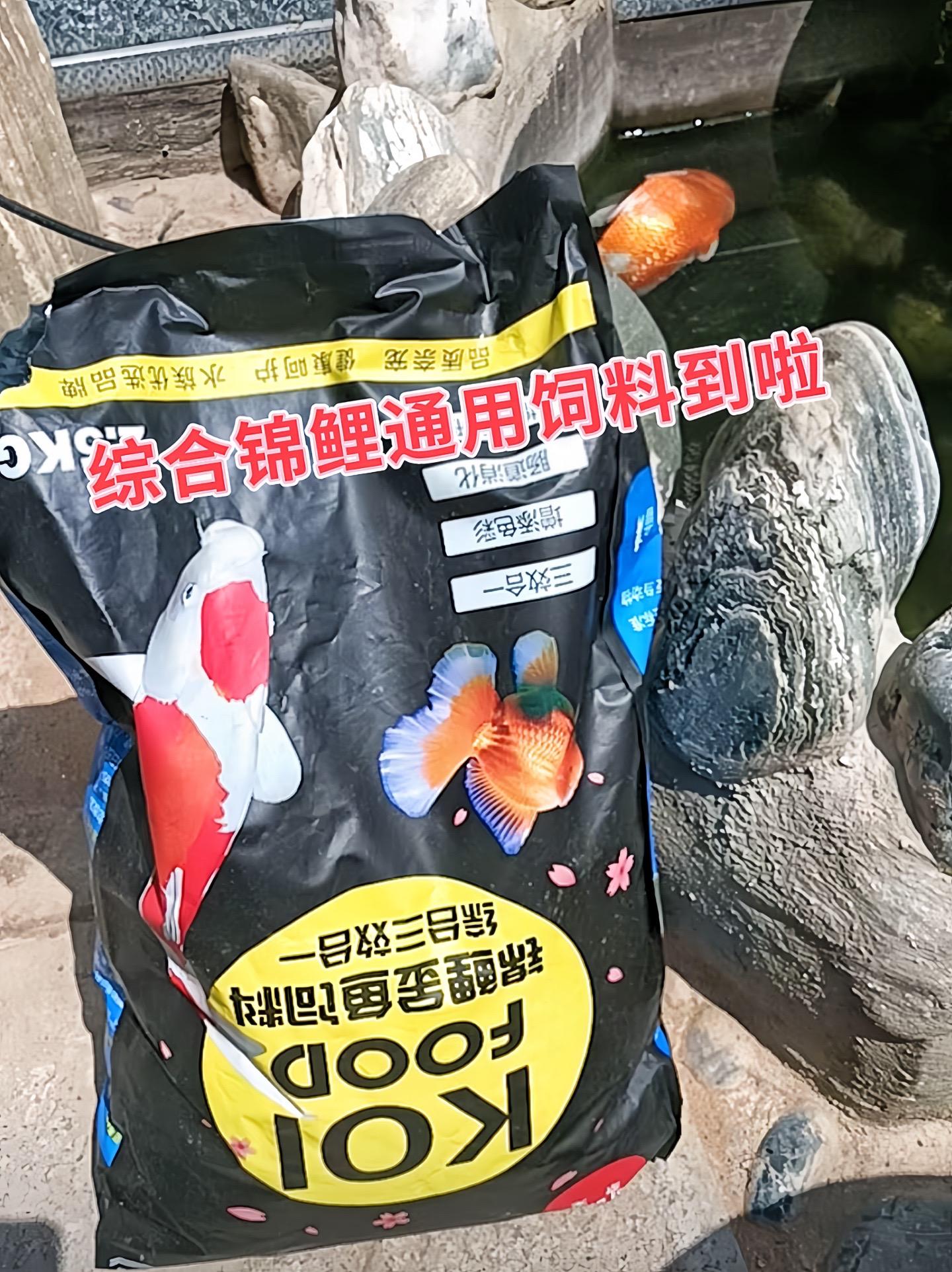 一、全面营养  1. 蛋白质丰富：为锦鲤生长发育提供充足动力，有助于肌...