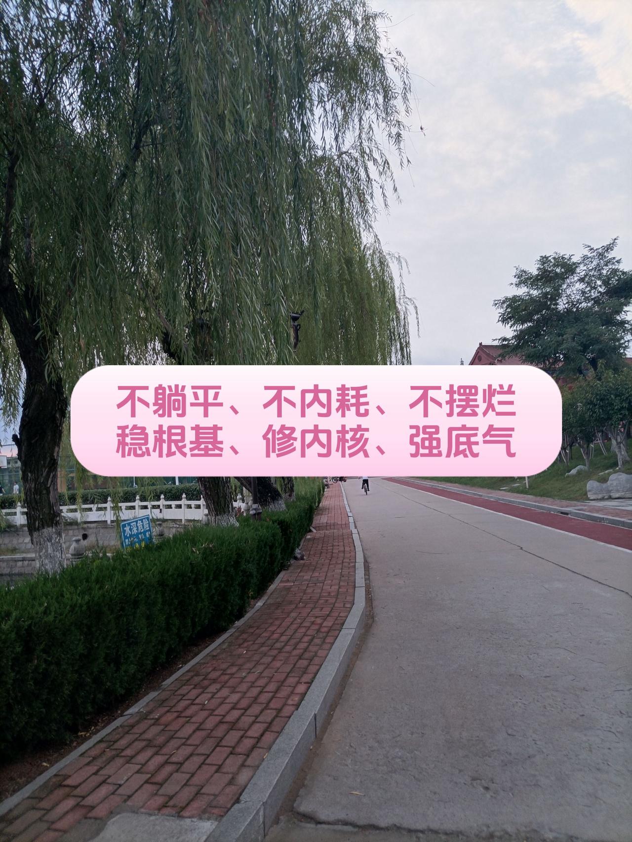 学习河边柳树美景