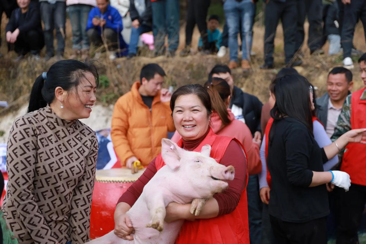 在这个快节奏、压力重重的时代，或许我们都在寻找一些简单纯粹的快乐。
参加了26次