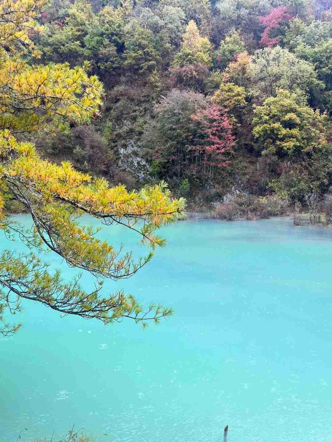我的今日状态：🥲强颜欢笑
我这里的天气：🌤️多云