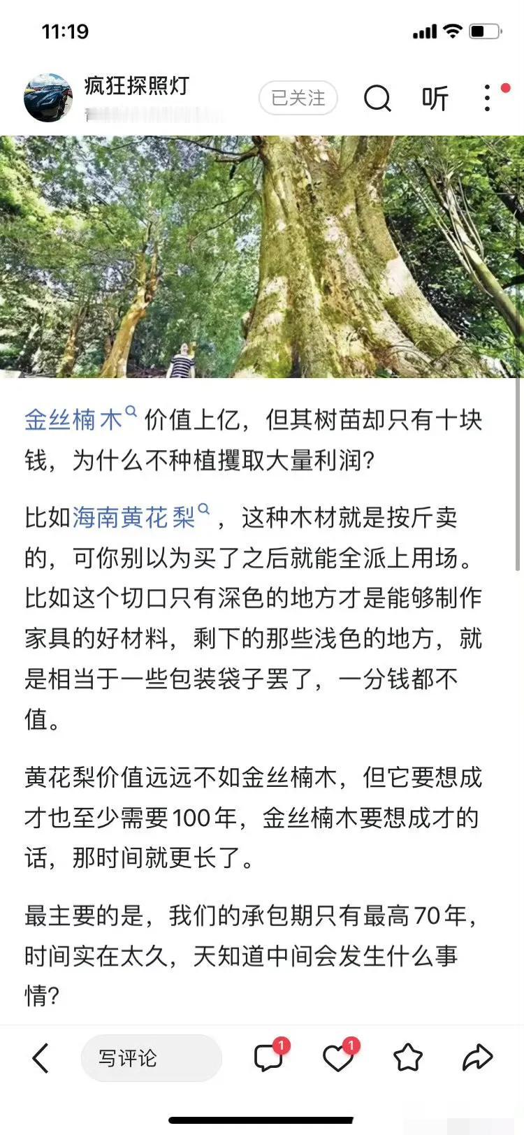 金丝楠木价值上亿，但其树苗却只有十块钱，为什么不种植攫取大量利润？