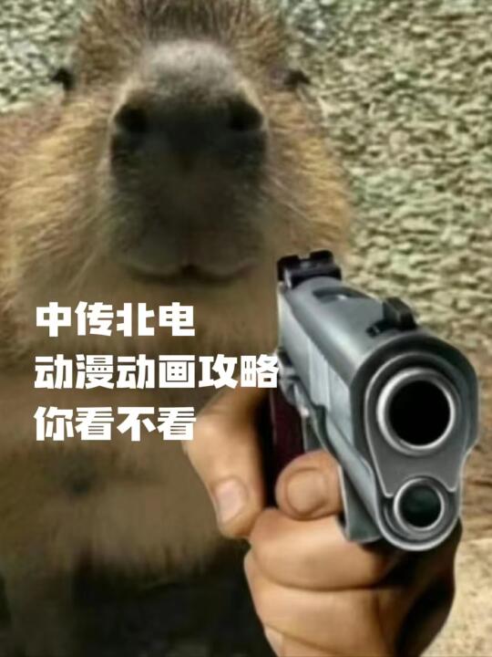 中传北电动画备考攻略【🔥】