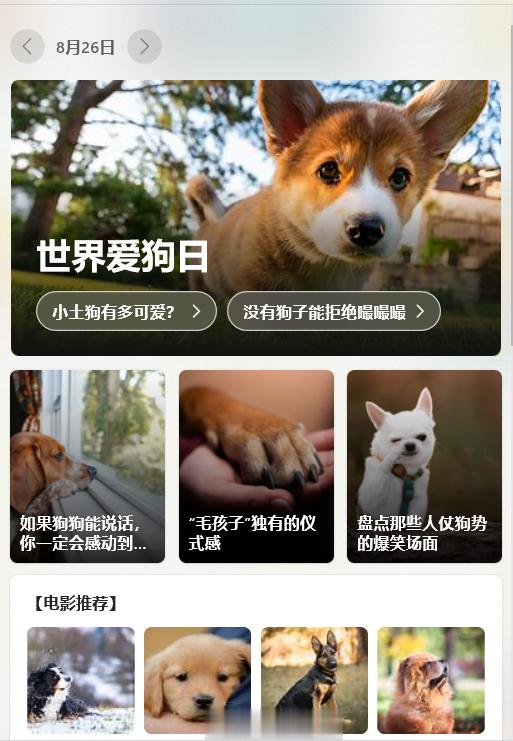 #馒头控的日常# 养狗经历还仅限于自己跑来的毛线[笑cry] ​​​