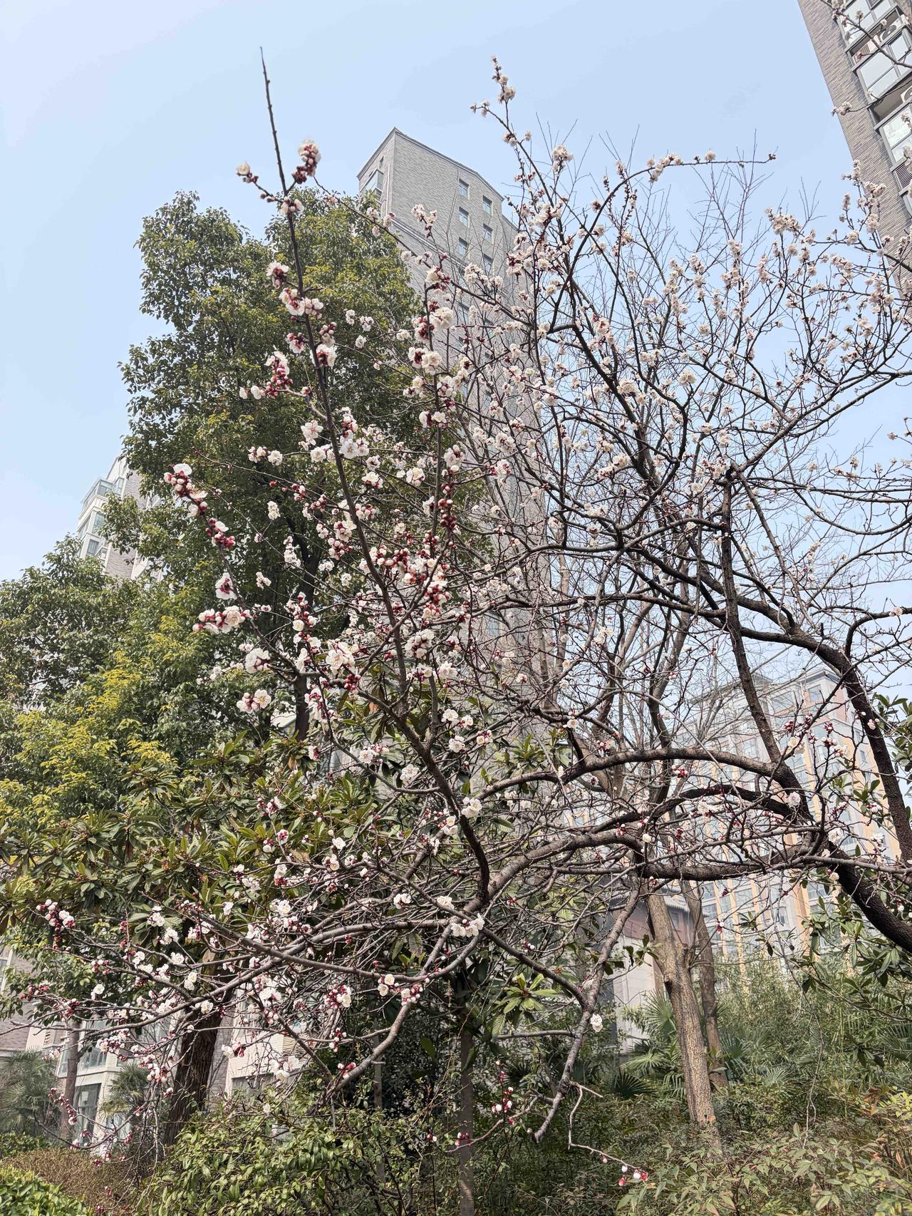 春日生活打卡季