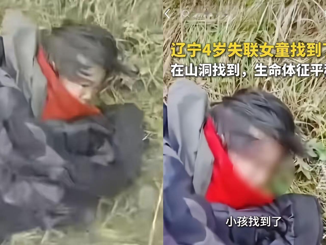 10万元到底给不给，辽宁失联女孩终于在强大的无人机搜寻下，找到了。
所有人悬着的