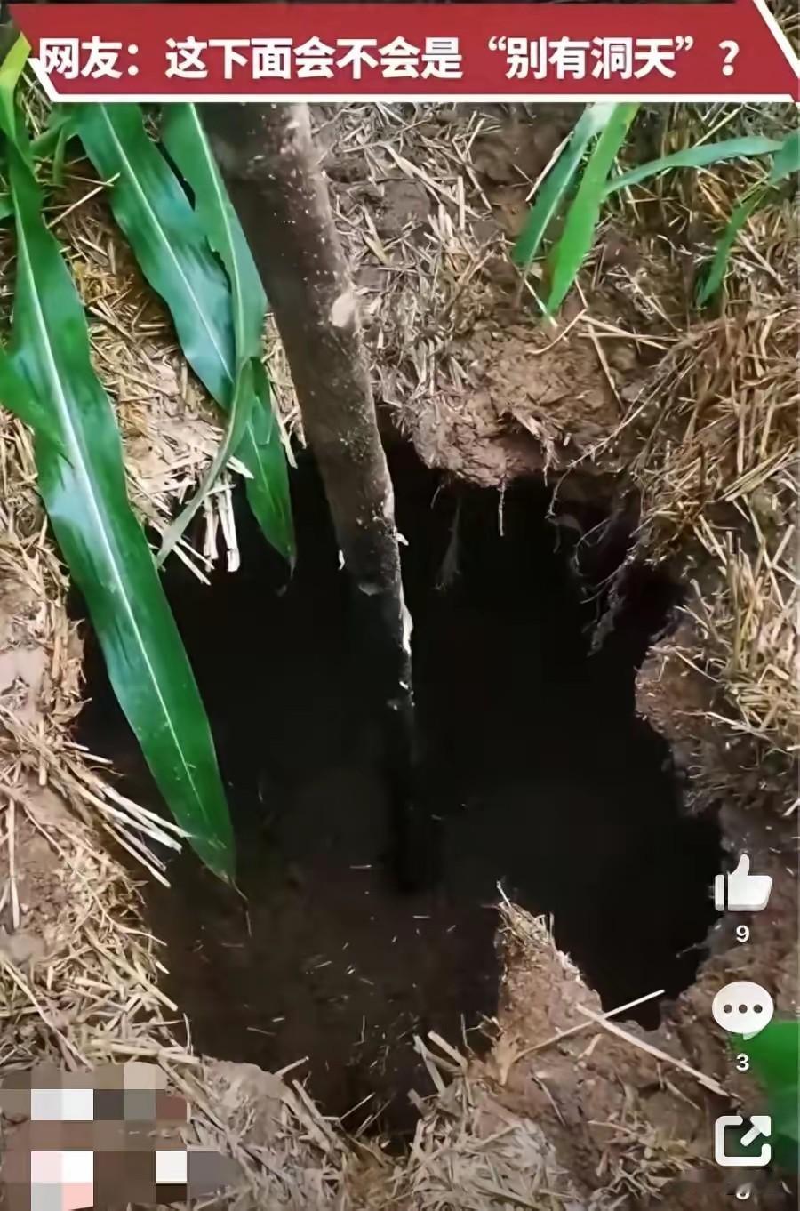 万幸捡回一条命！河南农户浇地，脚下十几年硬土凭空塌出无底黑洞
 
2026年7月