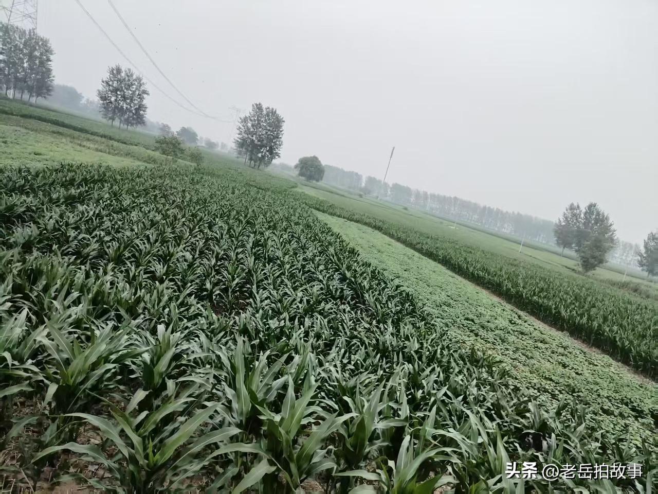 电信诈骗真实案例之:想通过抖音直播转大钱，大钱没赚到，自己倒被骗了数万元！
20