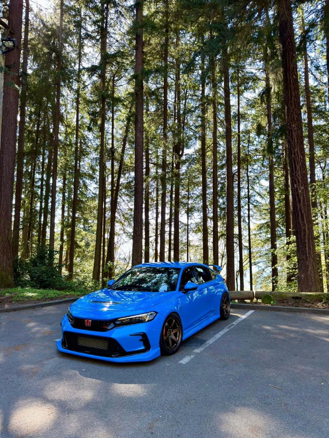 本田思域TypeR FL5 VTEC PIC：distinguished_FL5