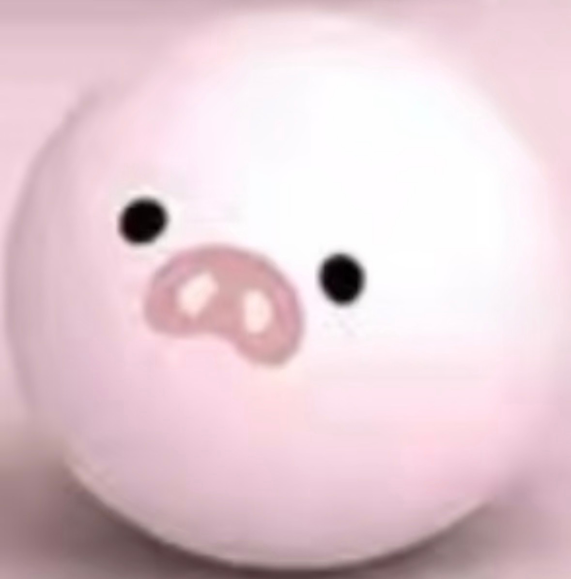 猪猪🐖 